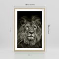 Plakat w ramie 50x70 - Moc lewego spojrzenia - lew, czarno - rama drewno