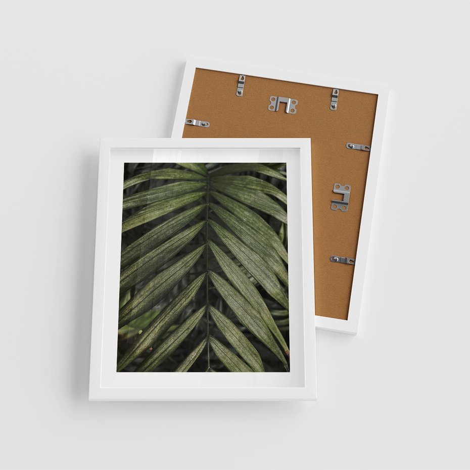 Plakat w ramie 40x50 - W Liściach Ukryte - zdjęcie, fotografia - rama biała