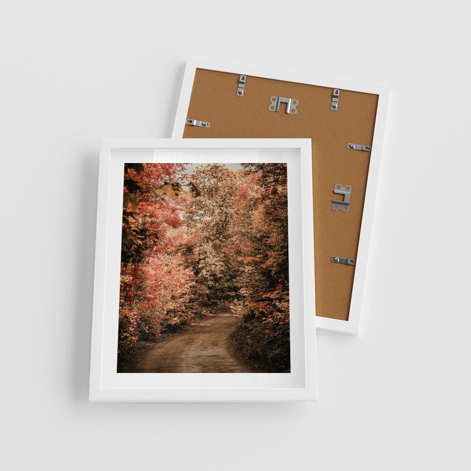 Plakat w ramie 40x50 - Obraz przedstawia jesienne drzewa i czerwone liście na ścieżce w lesie. Ta sceneria doskonale oddaje urok i kolorystykę jesieni w lesie. - las, jesień - rama biała