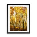 Plakat w ramie 50x70 - Jesienny Las - Kolorowa Paleta Natury - jesień, drzewa - rama czarna