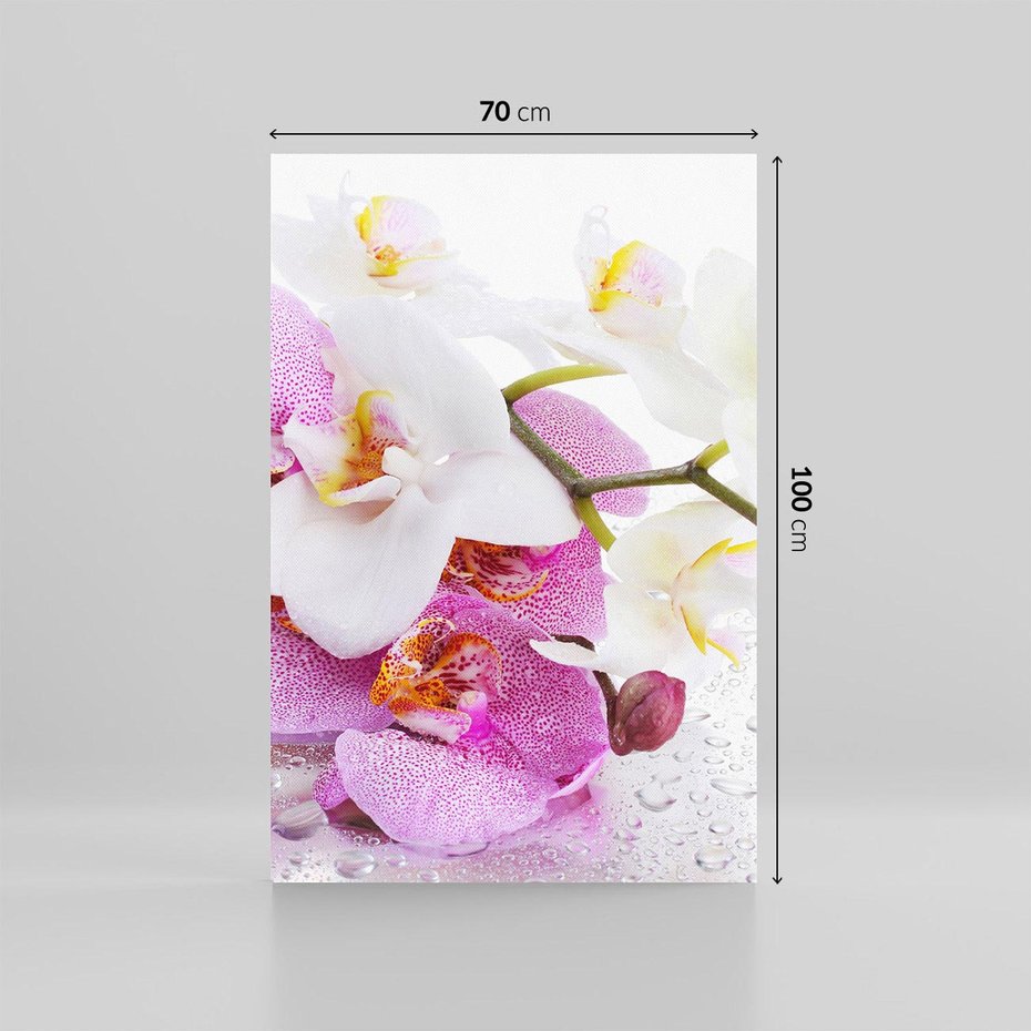 Obraz na płótnie 70x100 - Magia kwiatów - kwiaty