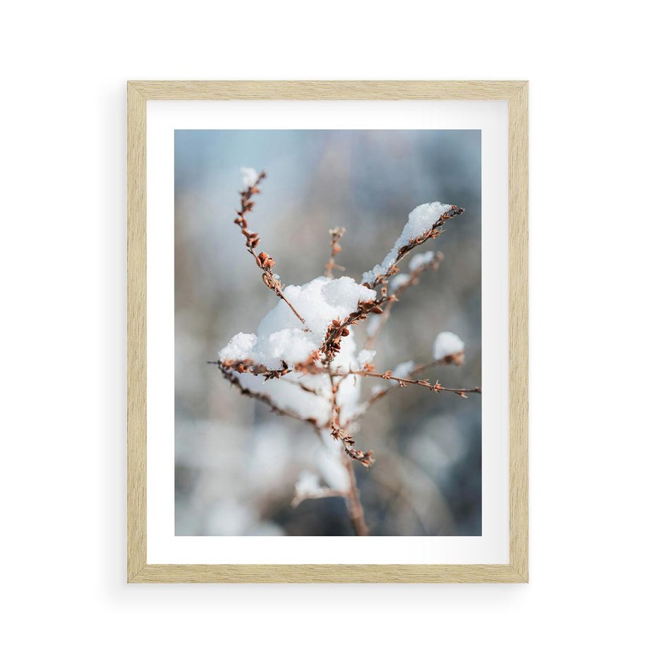 Plakat w ramie 40x50 - Zimowy Urok Natury - gałązki pod śniegiem, natura - rama drewno