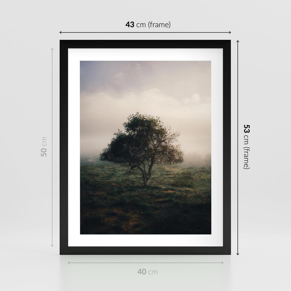 Plakat w ramie 40x50 - Zamglona Prostota - artystyczna fotografia, samotne drzewo na zamglonej łące - rama czarna