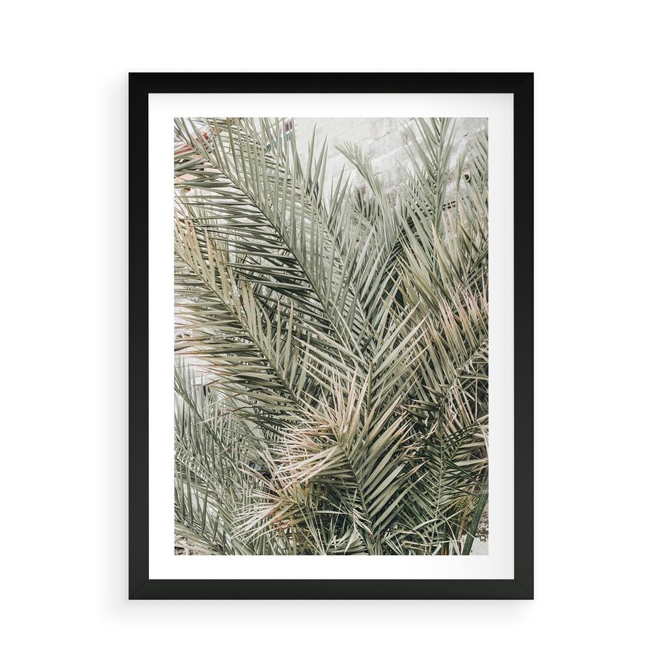 Plakat w ramie 50x70 - Egzotyczny Świat Palm - palmy, liście palmy - rama czarna
