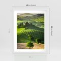 Plakat w ramie 40x50 - Prowansja: malownicze winnice w kraju Włoch - Prowansja, Włochy - rama biała