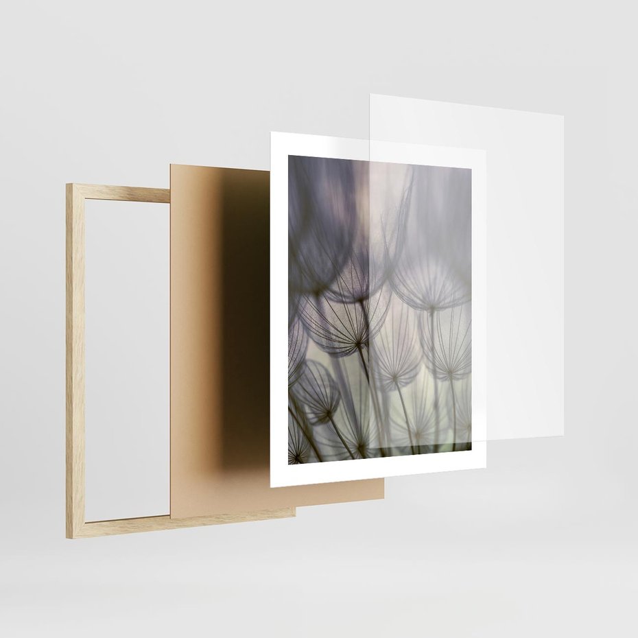 Plakat w ramie 40x50 - Makro dmuchawiec - piękno drobnych detali - dmuchawce, makro - rama drewno