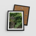 Plakat w ramie 40x50 - Żywiołowa Zieleń - mur, liście - rama czarna