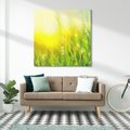 Obraz na płótnie 70x70 - Piękno Poranka - łąka, trawa