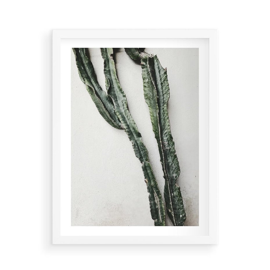 Plakat w ramie 50x70 - Zielona Roślina z Liśćmi - zielona roślina, liście - rama biała