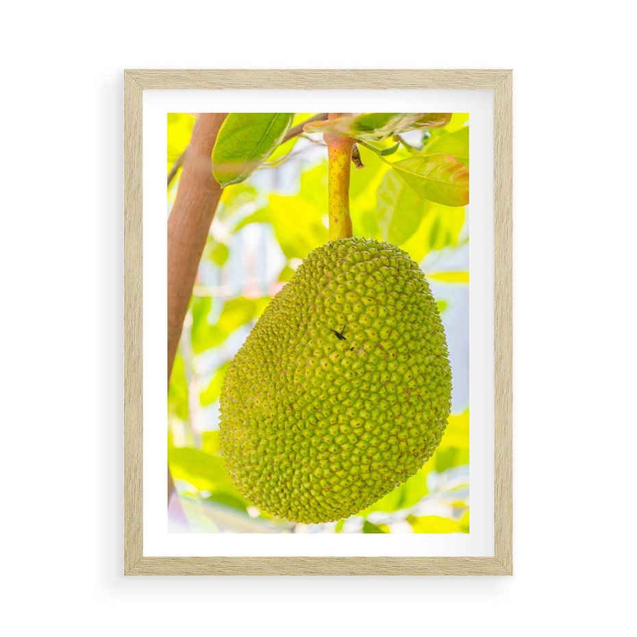 Plakat w ramie 50x70 - Tropikalny raj nad morzem - tropikalny, owoc - rama drewno