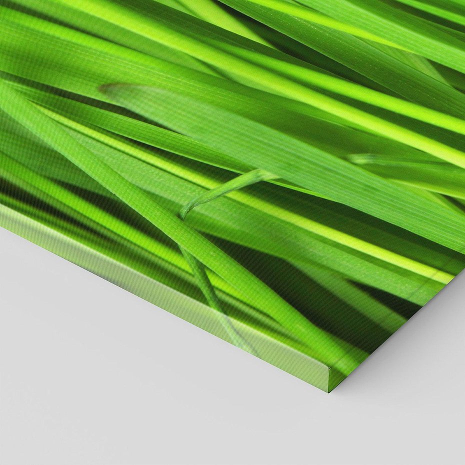 Obraz na płótnie 90x30 - Trawa w abstrakcji: natura przekształcona - trawa, abstrakcja