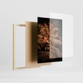 Zestaw obrazy w ramie 40x50 galeria - Bogo, jesienny, las, paprocie - rama drewno
