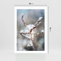 Plakat bez ramy 50x70 - Zimowy Urok Natury - gałązki pod śniegiem, natura