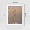Plakat w ramie 40x50 - Subtelna gipsówka - gipsówka, suche - rama biała