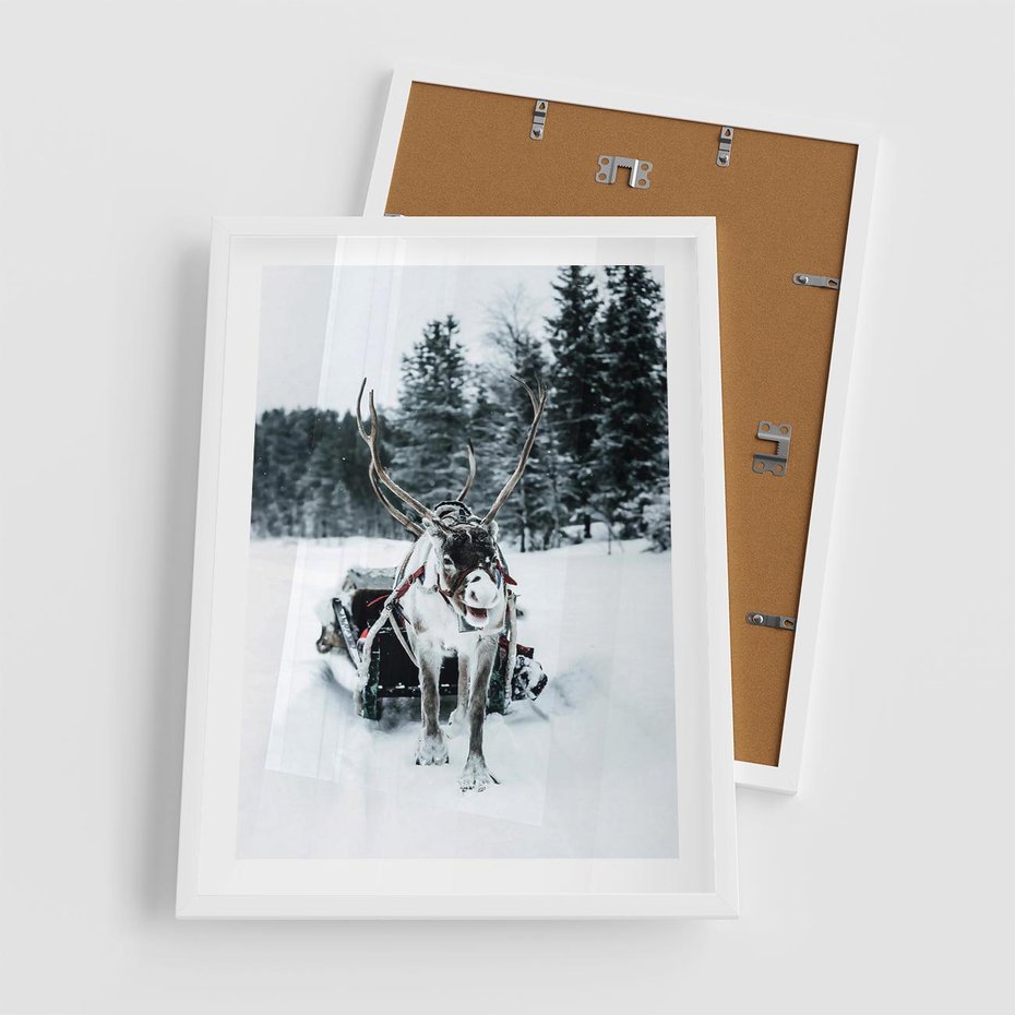 Plakat w ramie 50x70 - Świąteczna Przygoda - renifer, śnieg - rama biała