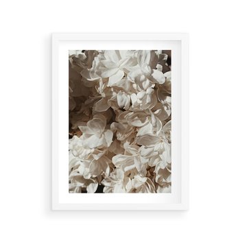 Plakat w ramie 40x50 - Płatki w Detalu - białe kwiaty, zbliżenie - rama biała