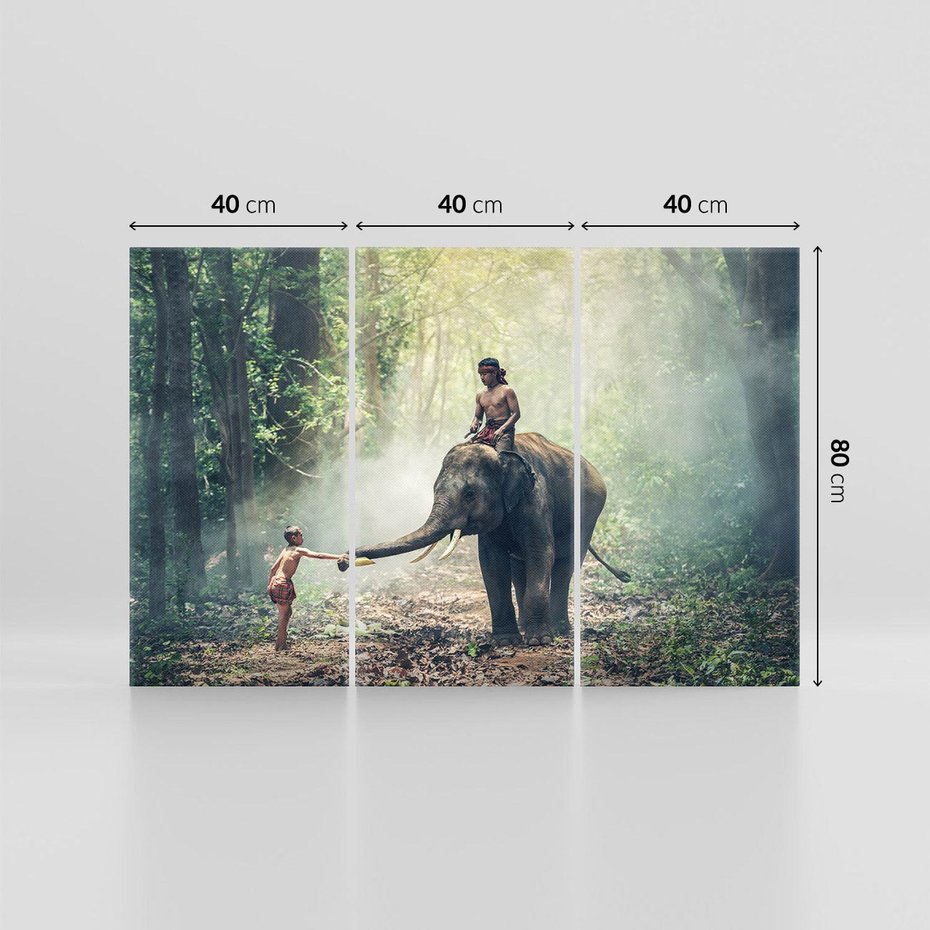 Obraz na płótnie 120x80 - Azja słońce wśród lasu - Azja, słoń