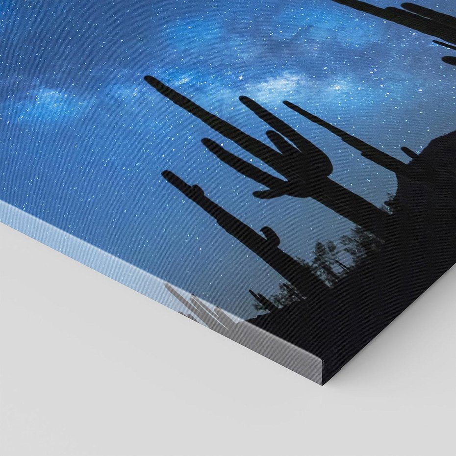 Obraz na płótnie 80x80 - Kaktusy - Niebo z gwiazdami - kaktusy, niebo