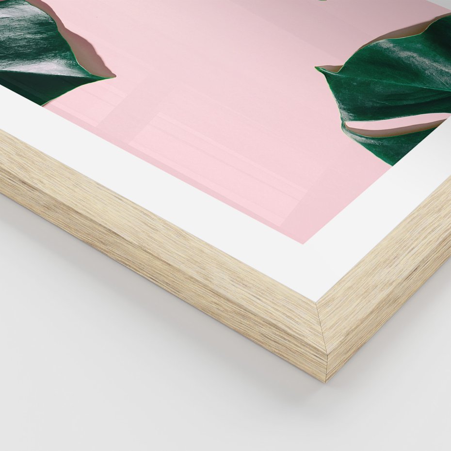 Zestaw obrazy w ramie 50x70 galeria - Monstera, liście, pastelowe, tło, tropikalne - rama drewno