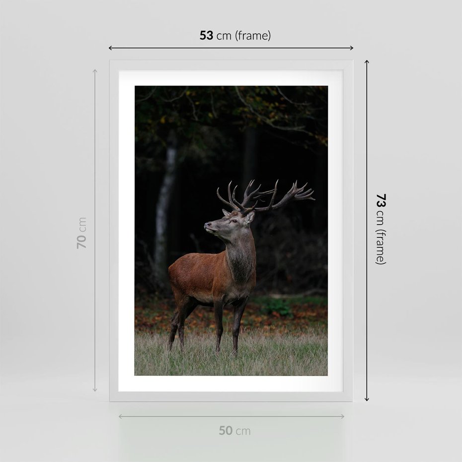 Plakat w ramie 50x70 - Spotkanie z naturą - jeleń, las - rama biała