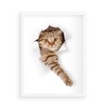 Plakat w ramie 50x70 - Kot w Dziurze - kot, dziura - rama biała