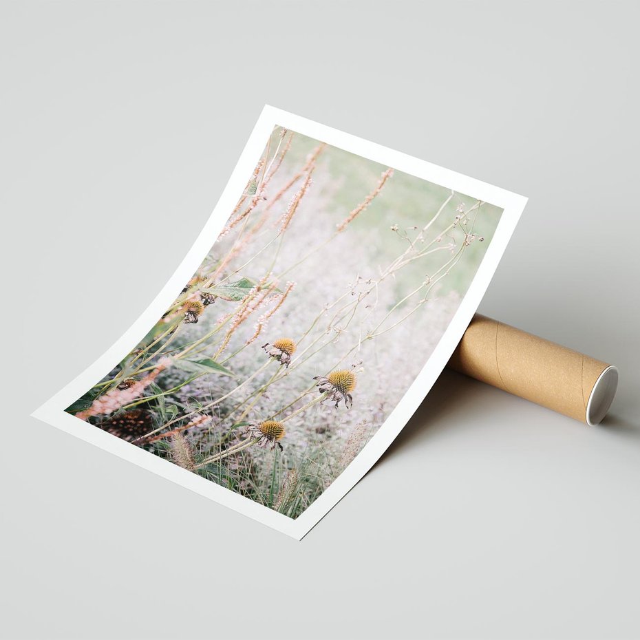 Plakat bez ramy 40x50 - Przyroda w Pełnym Blasku: Kolorowa łąka z Kwiatami - łąka, kwiaty na łące