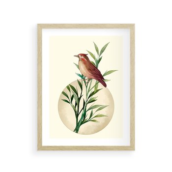 Plakat w ramie 30x40 - Rozkwitająca Delikatność - japońska sztuka, ptak - rama drewno