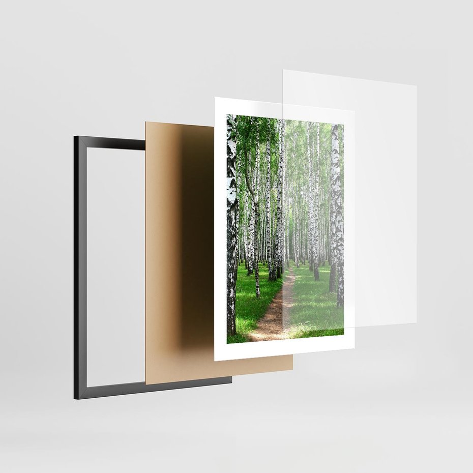 Plakat w ramie 30x40 - Bajkowy las pełen brzóz - las, brzozy - rama czarna