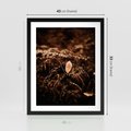 Plakat w ramie 40x50 - Gałęzie i Liść w Brązowej Tonacji - suche gałęzie, liść - rama czarna