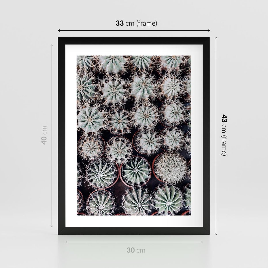Plakat w ramie 30x40 - Wzór Kaktusów - kaktusy w doniczkach, ujęcie z góry - rama czarna