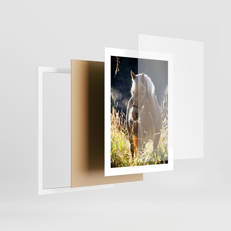 Plakat w ramie 30x40 - Spotkanie konia na łące - koń, łąka - rama biała