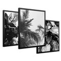 Zestaw obrazy w ramie 30x40 galeria - Liście, czarno, białe, palmy - rama czarna