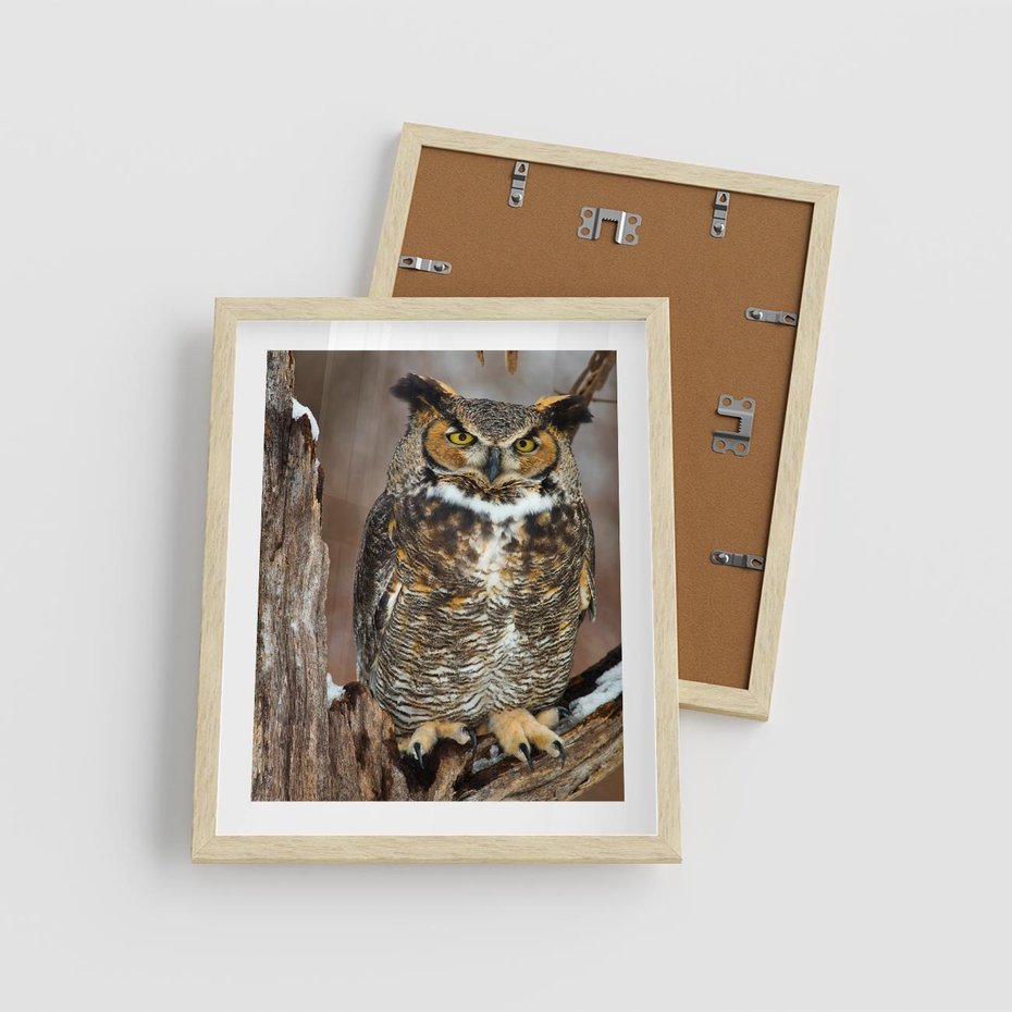 Plakat w ramie 40x50 - Tajemniczy Stróż - sowa, las - rama drewno