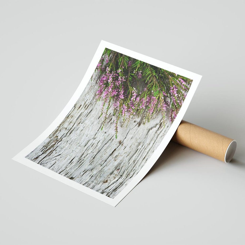 Plakat bez ramy 21x30 - Fioletowe Wrzosy - wrzosy, fiolet