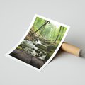Plakat bez ramy 21x30 - Strumyk w lesie - strumyk, w lesie