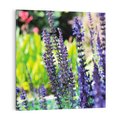 Obraz na płótnie 30x30 - Ogród Lawendowy - lawenda, kwiat