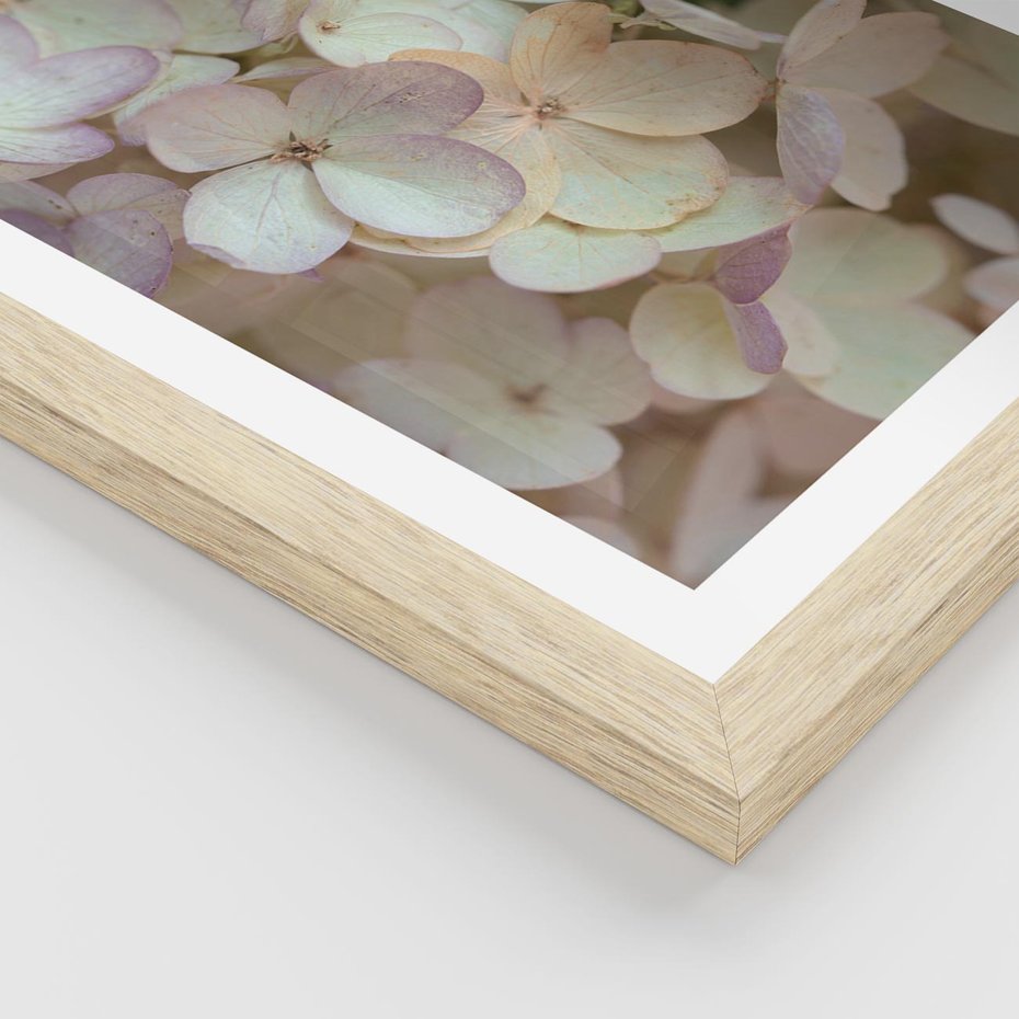 Plakat w ramie 30x40 - Kwiatowy taniec - kwiaty, hortensje - rama drewno