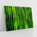 Obraz na płótnie 120x80 - Bambusowy urok zielonej harmonii - bambus, zieleń