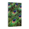 Obraz na płótnie 70x100 - Pawi Ogon - Piękno i Wspaniałość - paw, pióra