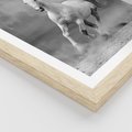 Plakat w ramie 30x40 - Elegancja w Czarno-Białym - koń, biało - rama drewno