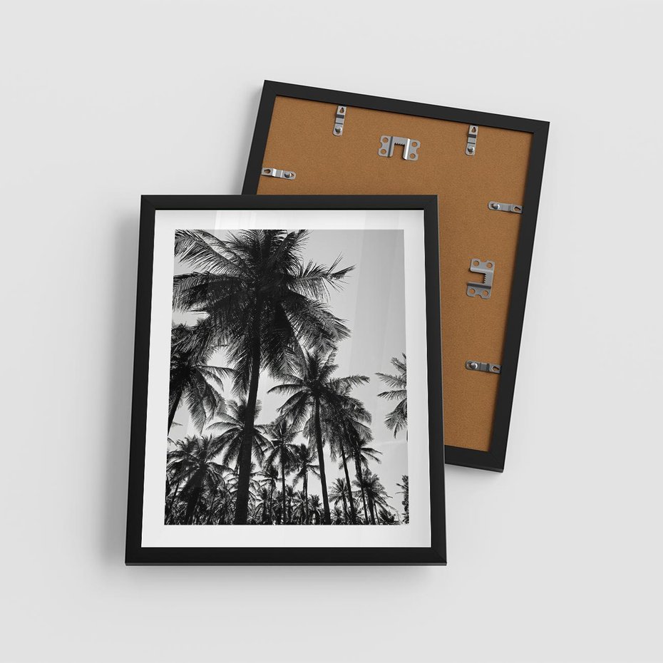 Plakat w ramie 40x50 - Mono Tropiki - palmy, drzewa palmowe - rama czarna