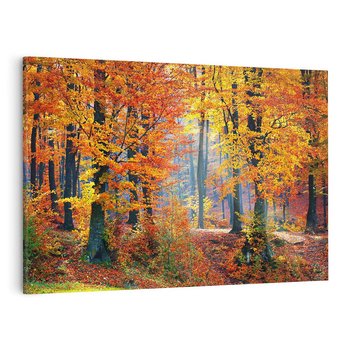 Obraz na płótnie 120x80 - Jesienny taniec lasu - jesień, las