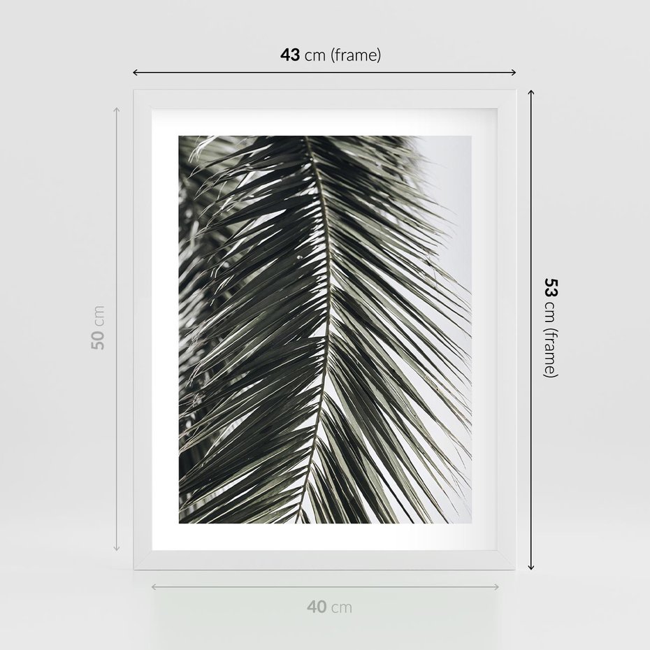 Plakat w ramie 40x50 - Liść Palmy: Egzotyczny Detal Natury - palma, liść palmy - rama biała