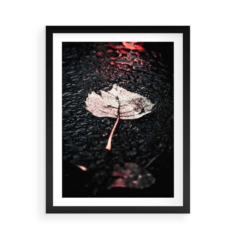 Plakat w ramie 50x70 - Jesień w Detalu: Liść na Mokrej Drodze - liść, jesień - rama czarna