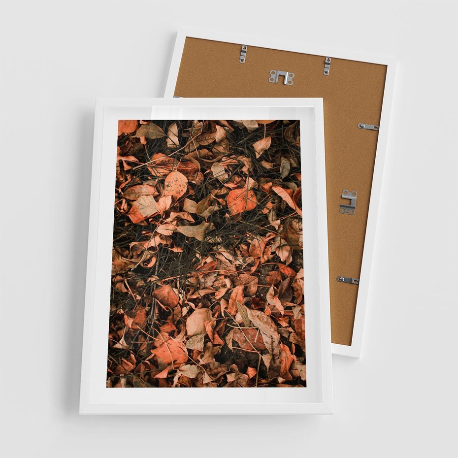 Plakat w ramie 50x70 - Jesienny Splot: Pomarańczowe Liście - liście, pomarańczowe suche liście - rama biała
