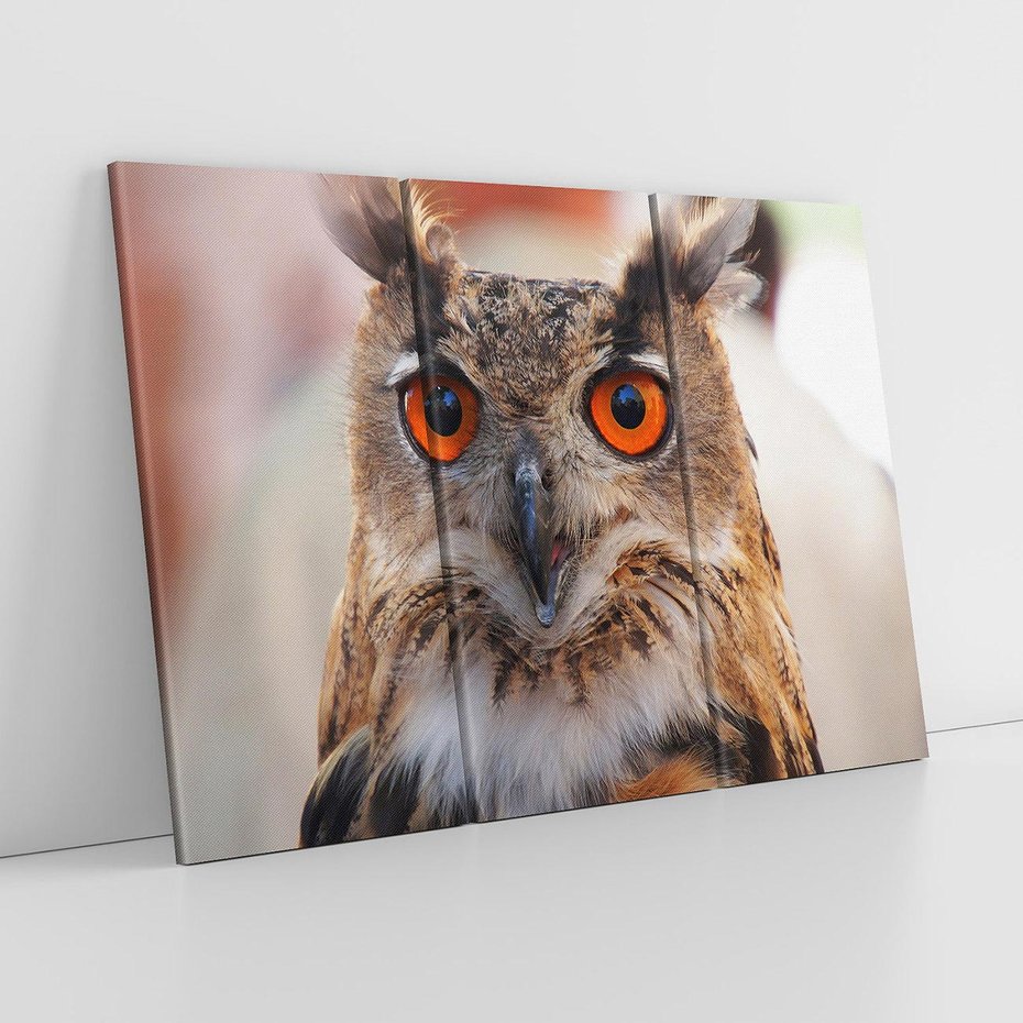 Obraz na płótnie 120x80 - Mądra sowa w locie - sowa, ptak