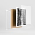 Plakat w ramie 50x70 - Kontrast Monochromatyczny - brzozy, czarno - rama biała