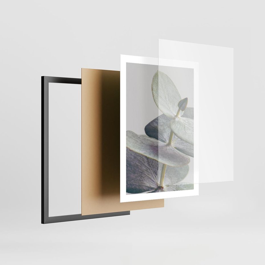 Plakat w ramie 50x70 - Zbliżenie Liści Eukaliptusa - eukaliptus, zbliżenie - rama czarna