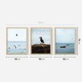 Zestaw obrazy w ramie 50x70 galeria - Morze, łodzie, ptaki, nostalgia - rama drewno