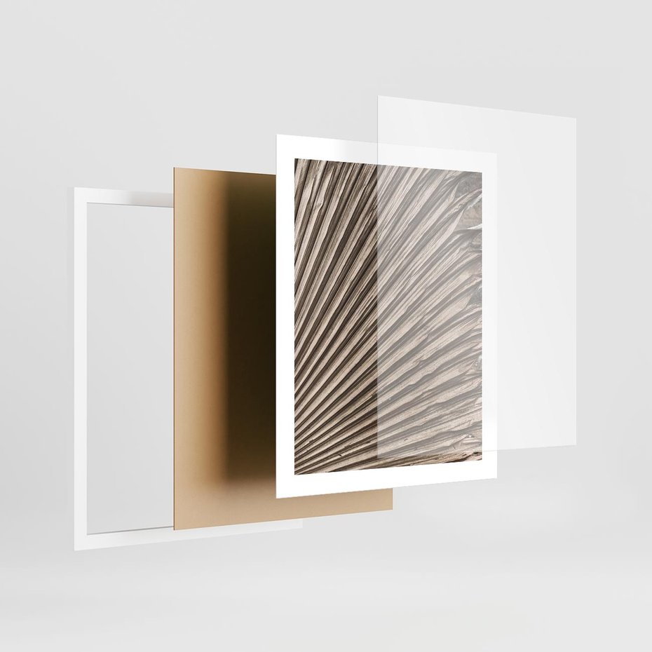 Plakat w ramie 40x50 - Liść Palmy w Wyjątkowej Kompozycji - suchy liść palmy, boho styl - rama biała